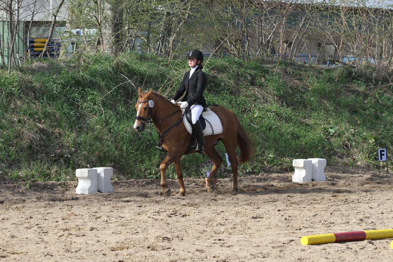 Bild 948 - WBO-Turnier am 9.4.11
